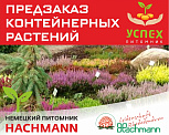 Предзаказ контейнерных растений. Немецкий питомник HACHMANN. ВЕСНА 2026г
