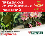 Предзаказ контейнерных растений. Польский питомник CIEPLUCHA. ВЕСНА 2026г