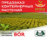 Предзаказ контейнерных растений. Польский питомник 'BÓR' SZKÓŁKA. ВЕСНА 2026 г