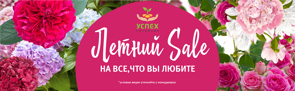 Летний Sale