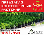 Предзаказ контейнерных растений. Польский питомник Tomzynski.ВЕСНА 2026г
