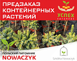 Предзаказ контейнерных растений. Польский питомник NOWACZYK. ВЕСНА 2026г