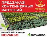 Предзаказ контейнерных растений. Голландский питомник NOVARBO. ВЕСНА 2026 г