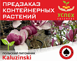 Предзаказ контейнерных растений. Польский питомник KAŁUZIŃSKI. ВЕСНА 2026г