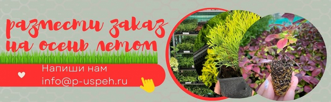 ЗАКАЗЫ НА ОСЕНЬ ЛЕТОМ